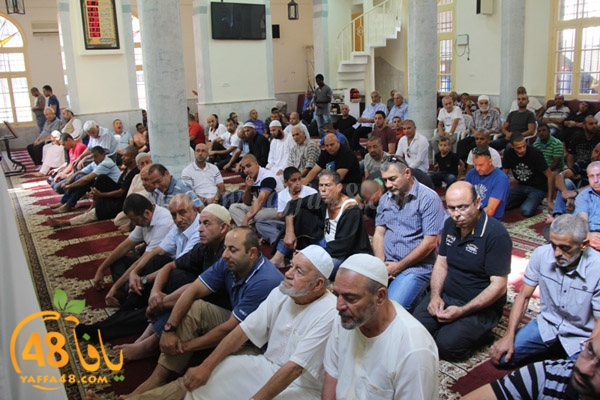 suliman sateel (4).JPG